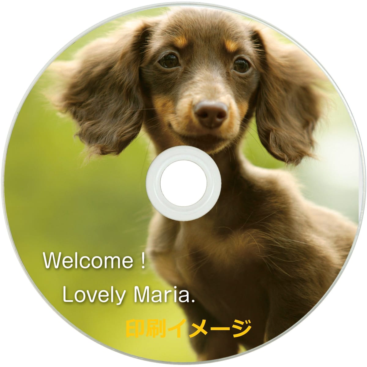 TDK データ用CD-R 700MB 48倍速対応 ホワイトワイドプリンタブル 50枚スピンドル CD-R80PWDX50PA