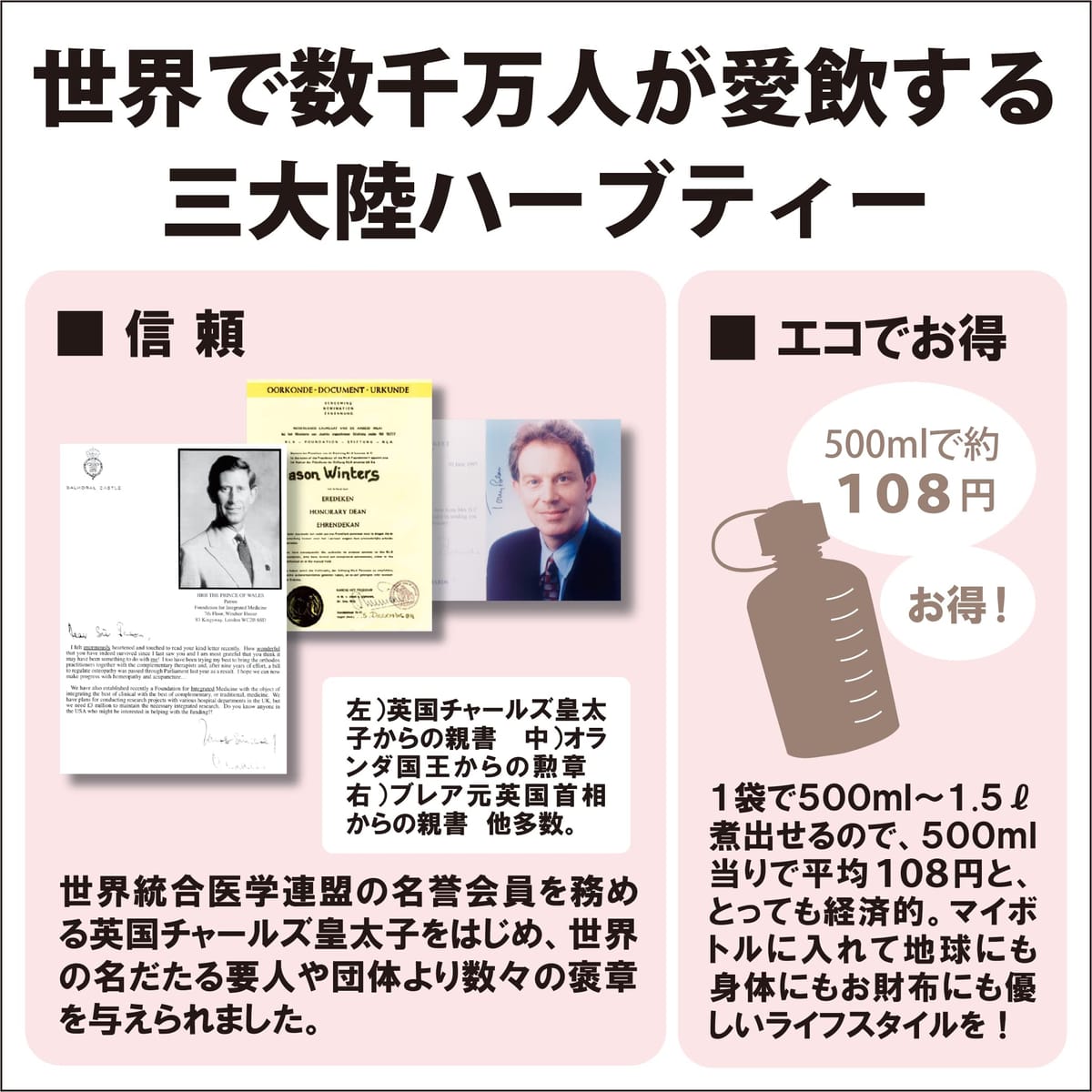 ジェイソン・ウィンターズ・ティー 30袋×3個
