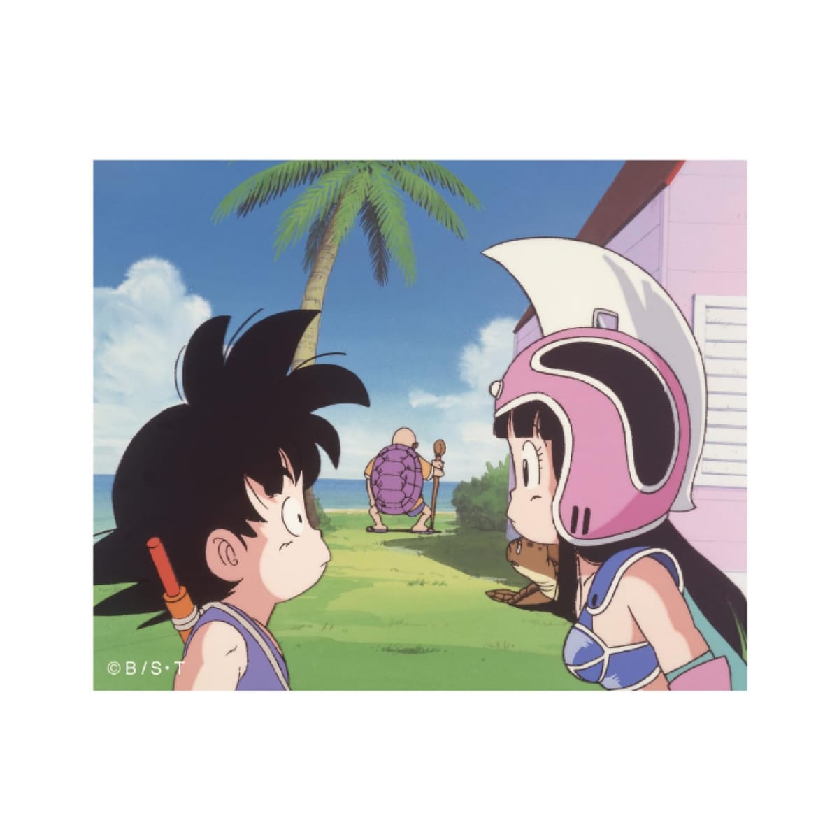 戏服 - スモール・プラネット(Small Planet) ドラゴンボール キャラクターステッカー 孫悟空とチチ1