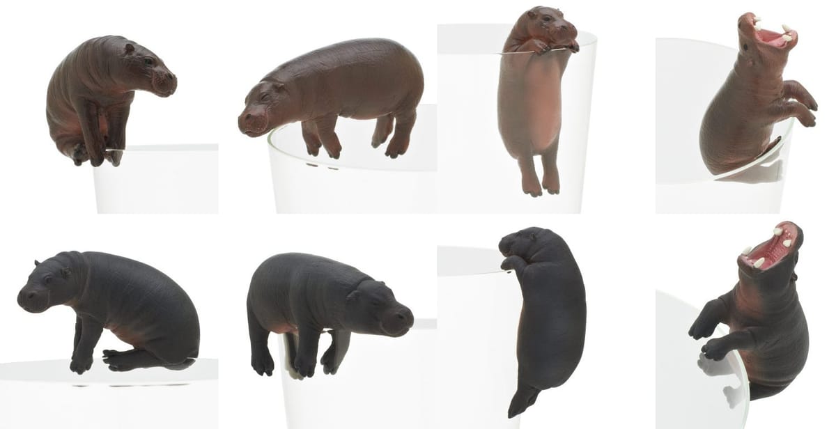 PUTITTO PYGMY HIPPO ӥȥ 8糧å 㥬
