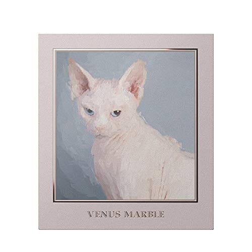 Venus Marble (ヴィーナスマーブル) アイシャドウキャットシリーズ [並行輸入品]