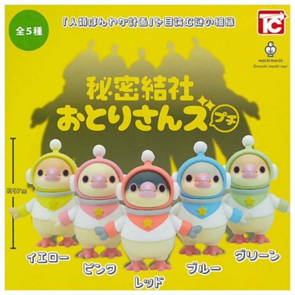 ȥӥ mochi mochi ̩ҤȤꤵ ץ  5糧å ե륳 㥬 ץȥ