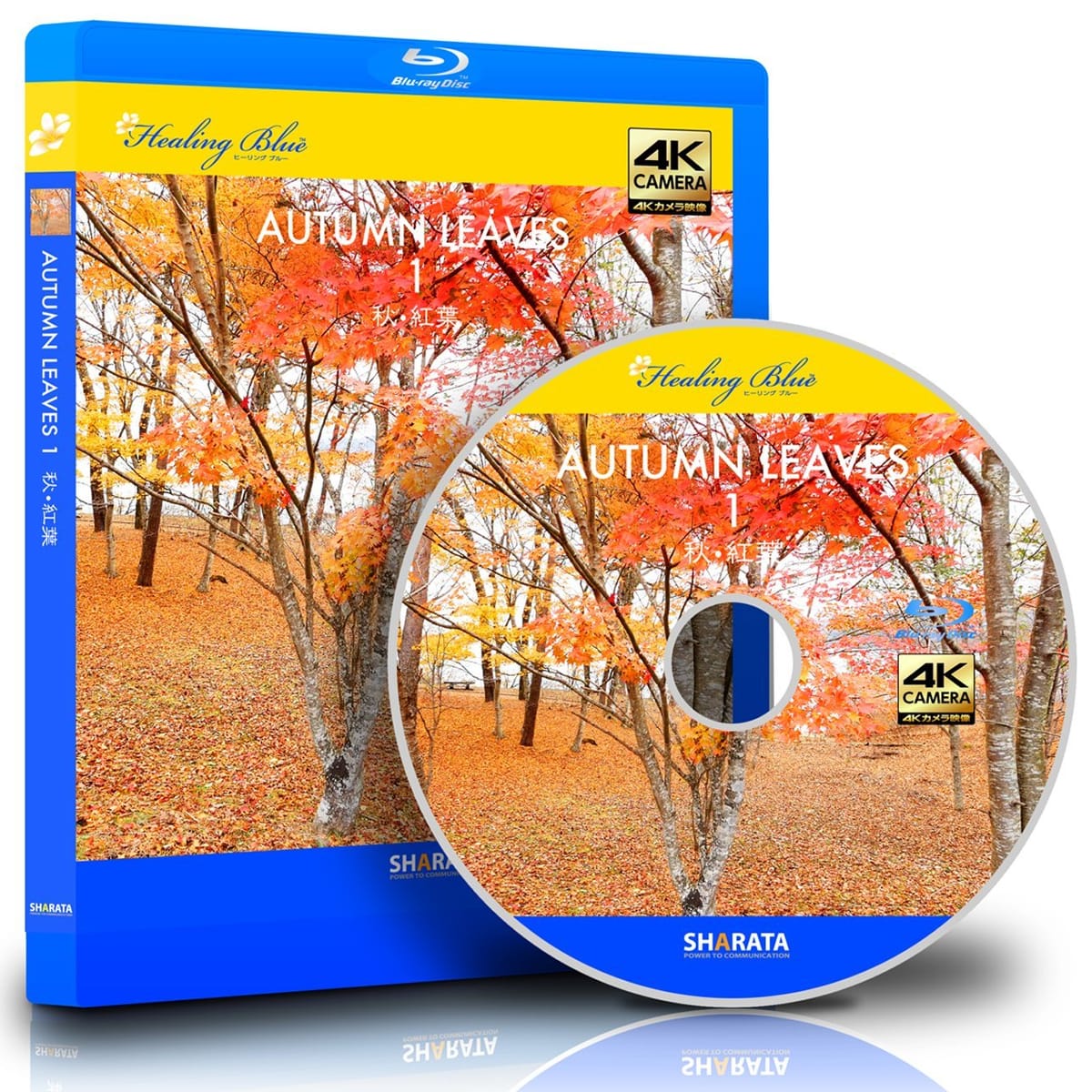 4Kカメラ映像秋•紅葉 - 1 〈動画約60分〉ポストカード10種付属 