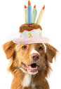 Lesypet 犬 猫 誕生日帽子 ペット用バースデーハット パーティーコスプレ、L