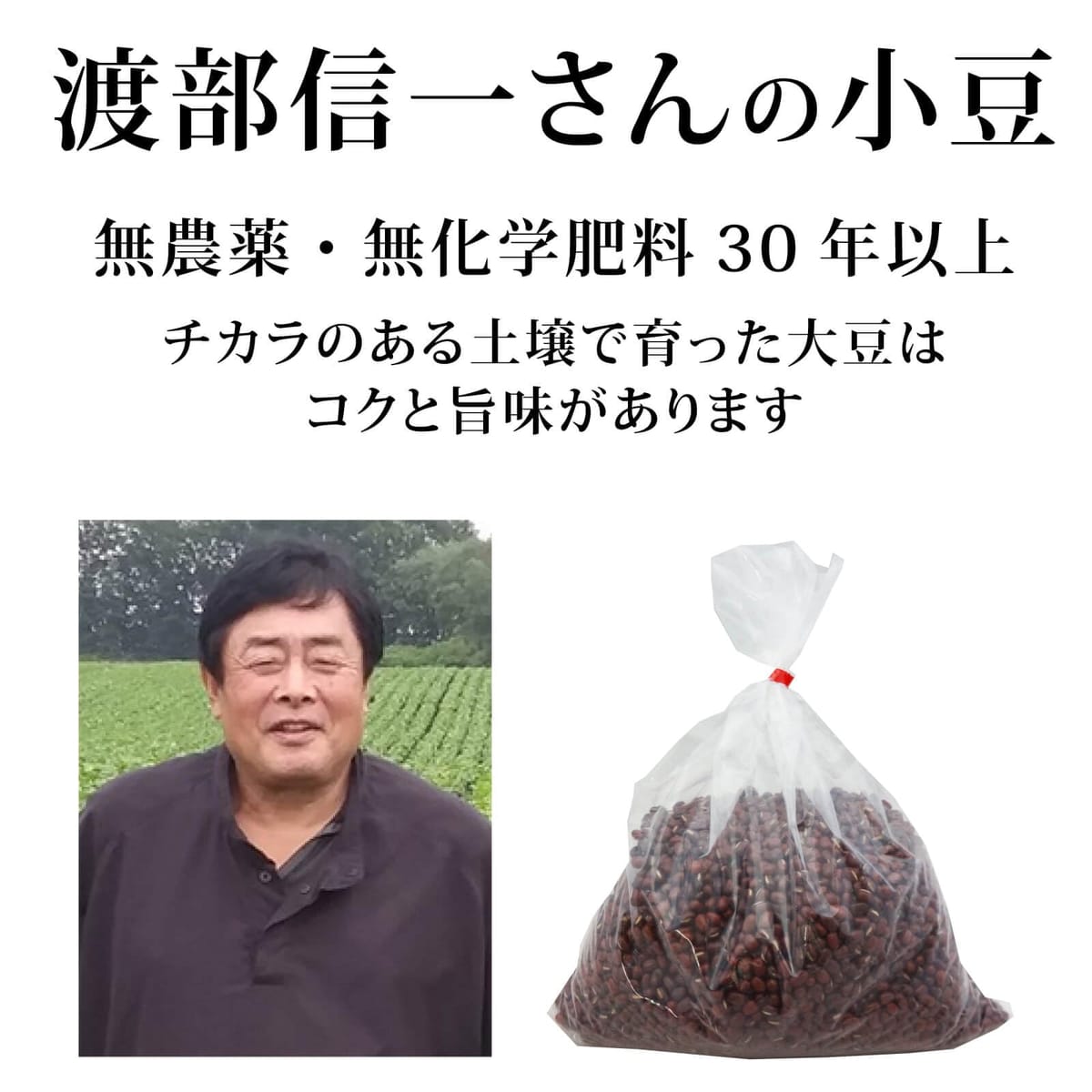 渡部信一氏 LEGUME