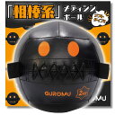 TENASGEAR グロム【やる気を引き出す頼れる相棒!】メディシンボール 2kg 直径25cm ソフト トレーニング ボール ウエイトボール スラムボール 体幹 筋トレ 器具