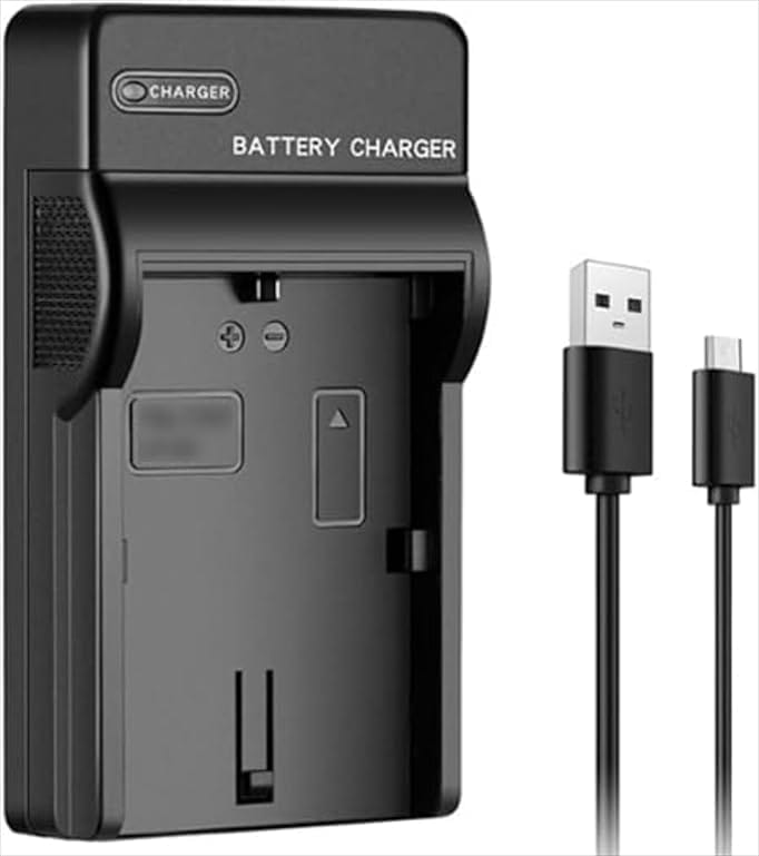 NP-FW50 互換 充電器ケーブル USB Type-C α6400 α6000 α7II α7S ZV-E10 RX10シリーズ カメラ用