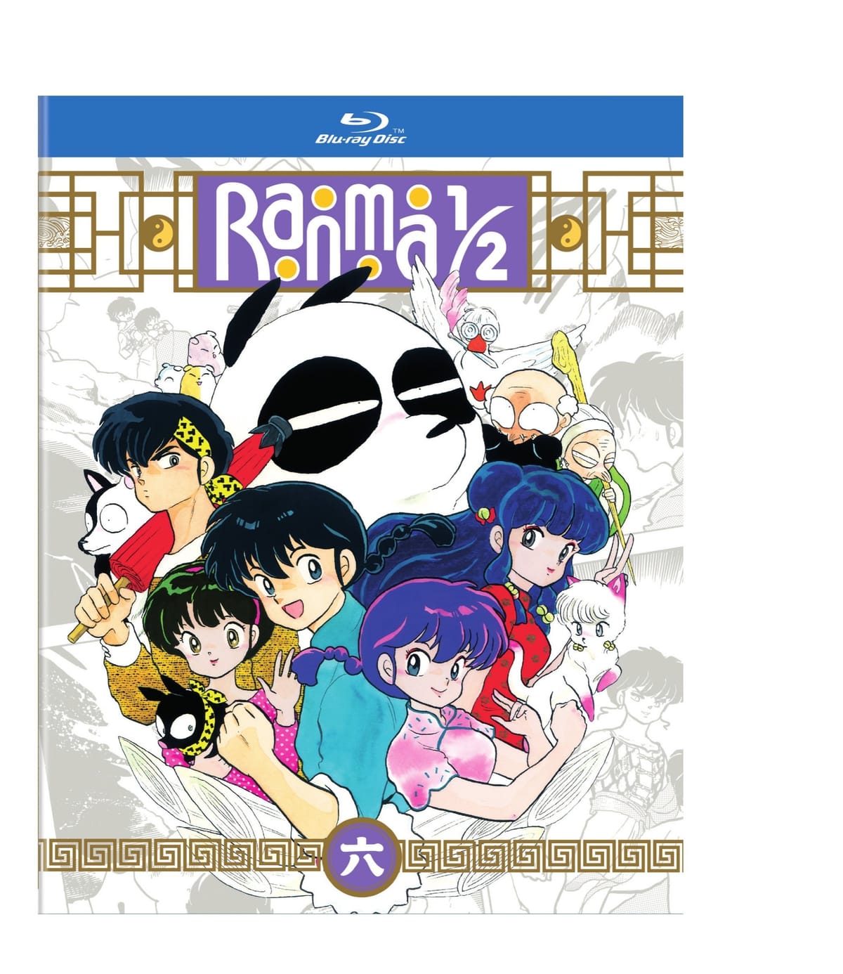 RANMA 1/2 - TV SERIES SET 6 (STANDARD EDITION)