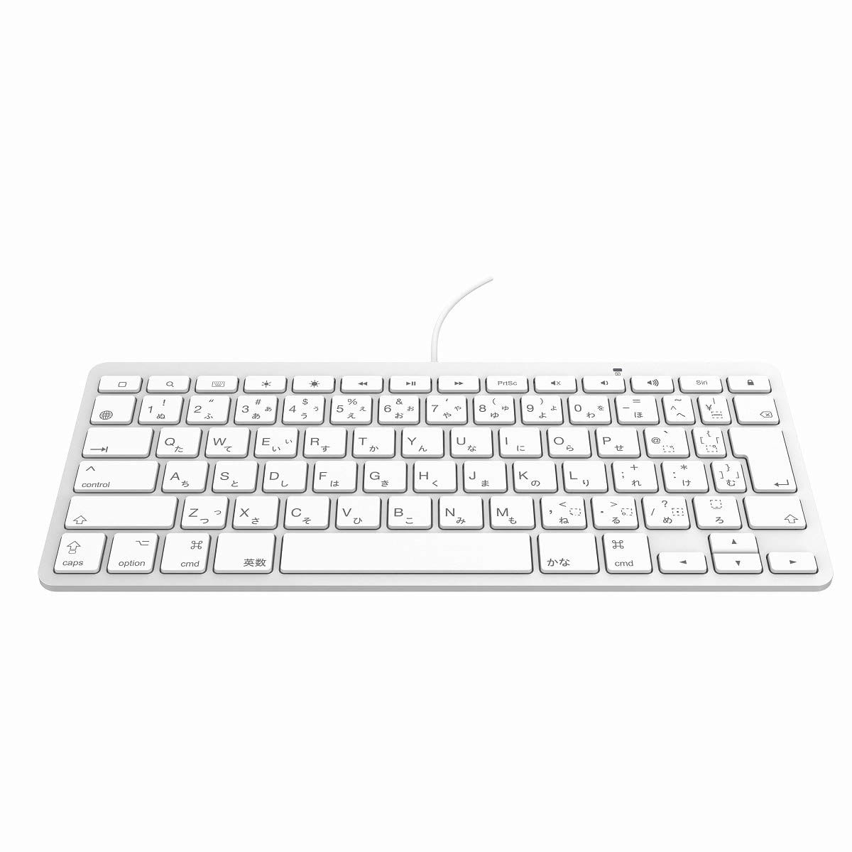 リンクスインターナショナル Apple正規MFi認証取得【Lightning専用】JIS配列 日本語かな印字キーボード Lightning KANA-JIS Keyboard (KB-LT-KANA-JIS)