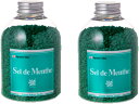 北見ハッカ通商 入浴剤Sel de Menthe(セル・デ・メンタ)徳用ボトル450g x 2瓶