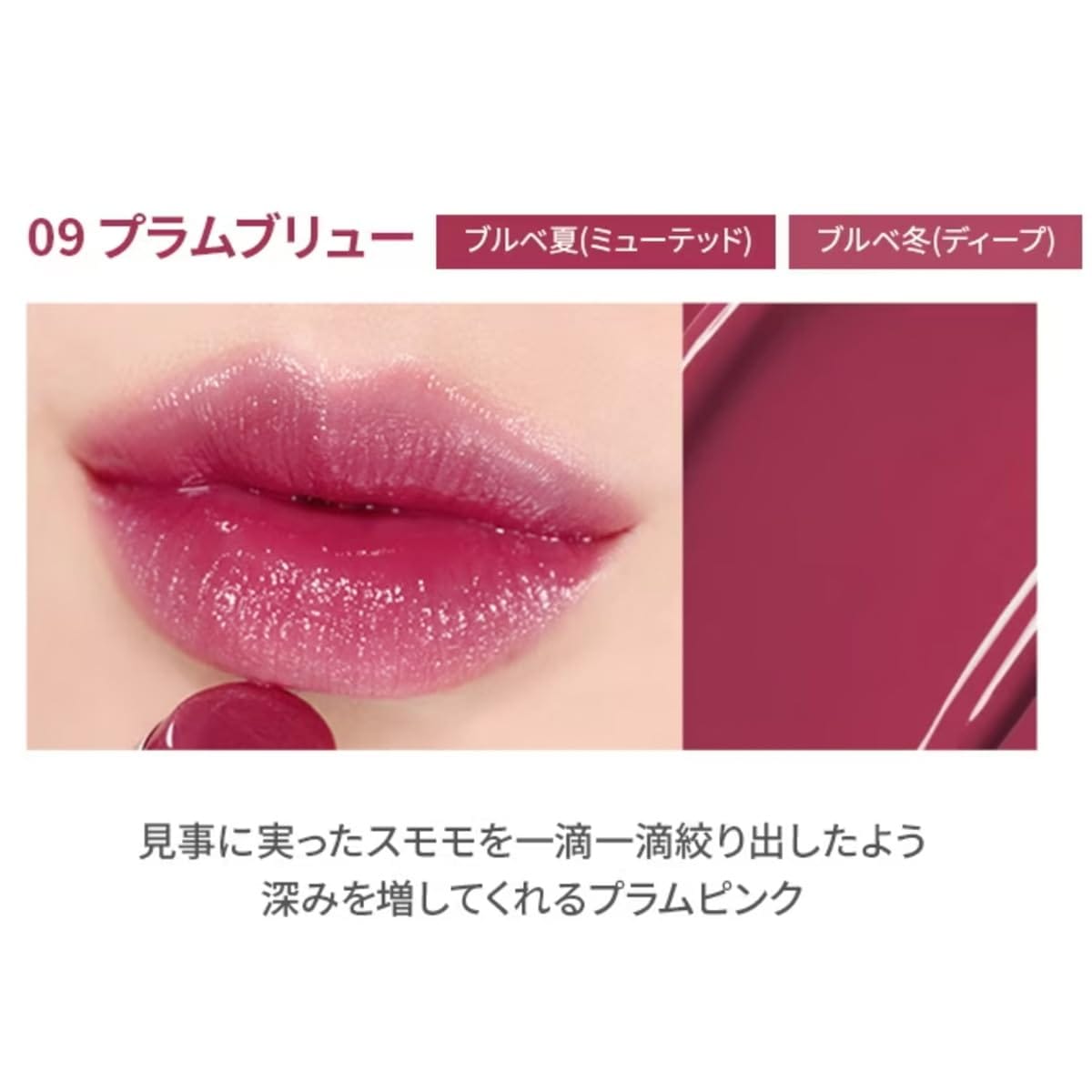 WAKE MAKE DEWY GEL GLAZE STICK デュイジェルグレーズスティック (09 PLUM BREW)