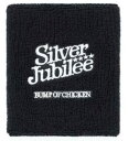 BUMP OF CHICKEN(バンプオブチキン)公式グッズ 2022 Silver Jubilee リストバンド「黒」(3)