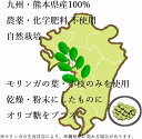 モリンガ 熊本県産 モリンガ100%使用 粒 無農薬 オリゴ糖配合 タブレット パウダー サプリ スーパーフード 120粒 国産 ミラクルツリー (2袋) 2