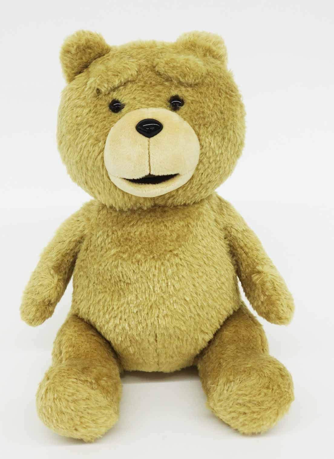 ted2 (ebh2) ʂ S 21cm 