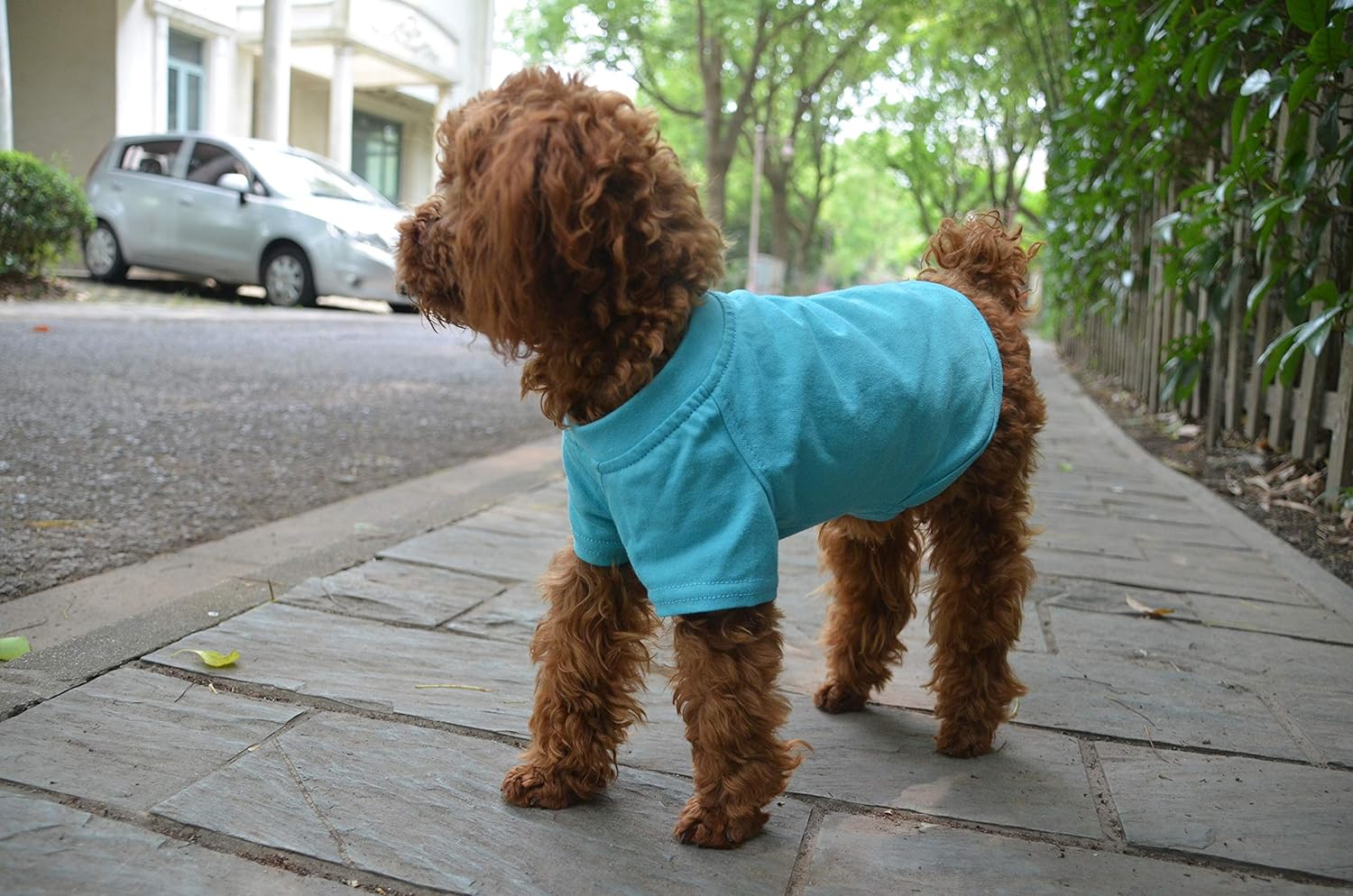 2019ペットTシャツ衣類100％コットンコスチュ ムパピ 犬の服ブランクTシャツ大きなミディアム小型犬のTシャツ Turquoise S