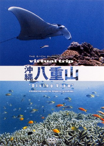 virtual trip ꔪdR gDiving Viewh[ቿi] [DVD]