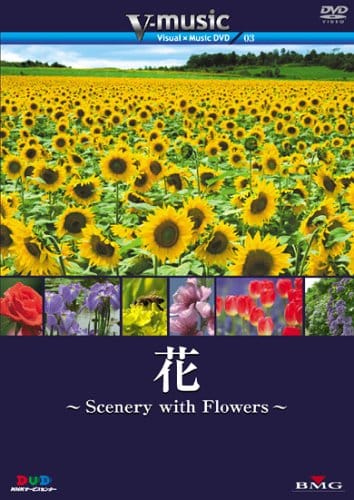 ԁ`Scenery with Floews` V-music03@ [DVD]