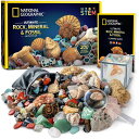 NATIONAL GEOGRAPHIC Rocks & Fossils Kit – 200Piece Set Includes Geodes, Real Fossils, Rose Quartz, Jasper, Aventurine, & Many M