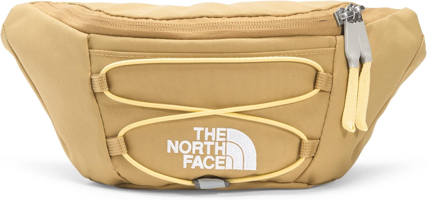 ノースフェイス ビジネスバッグ (ザ・ノース・フェイス) The North Face ジェスター ランバーパック, アンテロープタン/ペールバナナ, One Size