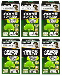 野口医学研究所 イチョウ葉＆DHA・EPA 60粒（約30日分） 6個 栄養補助食品 オリジナル賞味期限シール付 セット