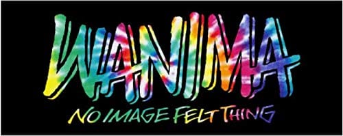 WANIMA（ワニマ）COMINATCHA!! TOUR 2019-2020 公式グッズ フェイタオル 黒