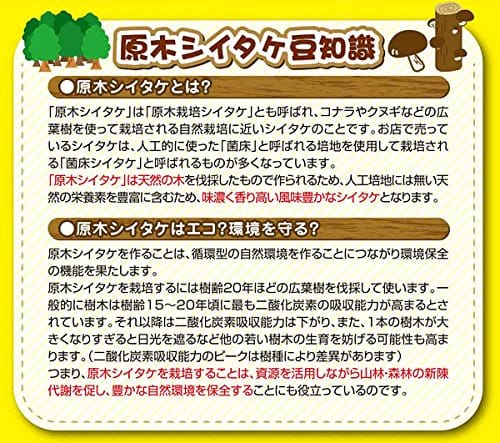 カネコ種苗 原木しいたけ栽培セット なるきのこデラックス