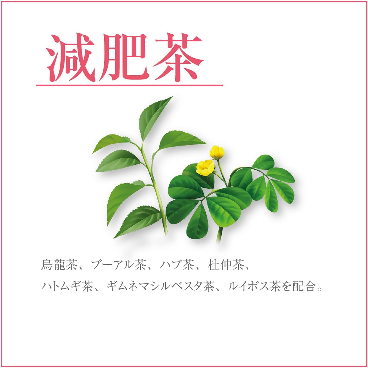 ネオ無量寿 360粒 - 岩井の胡麻油