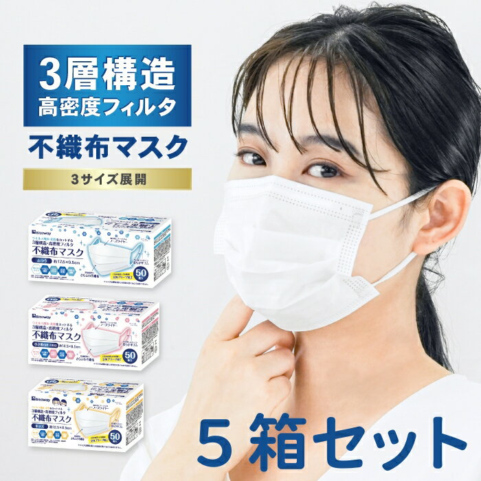 5箱セット/全250枚 不織布マスク 普通サイズ 50枚入 大人用 女性用 キッズ用 立体プリーツ 三層構造ノーズフィット 使い捨て 耳が痛くなりにくい 衛生 業務用 全国マスク工業会 大人 女性 キッズ 使い捨て 小顔マスク 送料無料