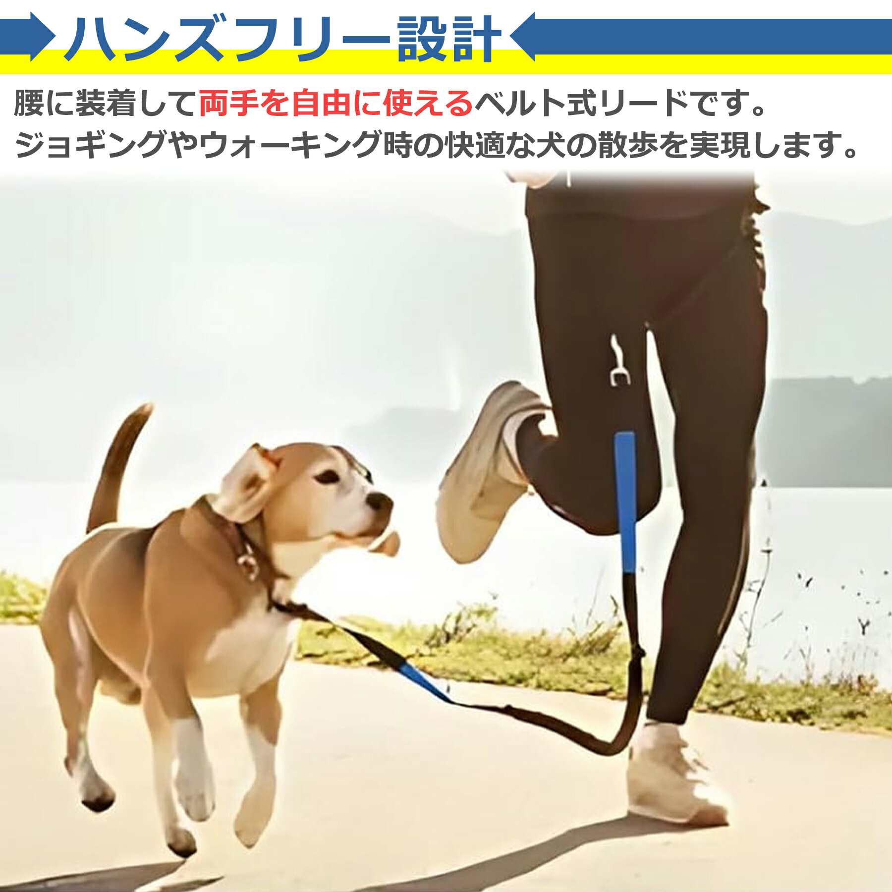 �� �꡼�� �ϥ󥺥ե꡼ ��4�� ���� ���� ������ ���ݤ� �Ф�ݤ� ��֤� ���� Ĺ�� ���� �٥�� ���˥� �ɥå� ������ �淿�� �緿�� �ڥå�����