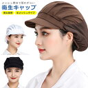 bitrain:10004951のサンプル画像2