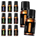 アロマ エッセンシャルオイル 選べる 2個セット 全10種 各10mL 天然 自然由来 精油 加湿器 ディフューザー おしゃれ お試し 厳選 無添加 高品質 香...