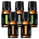 アロマ エッセンシャルオイル 5種セット 各10mL 天然 自然由来 精油 加湿器 ディフューザー おしゃれ お試し 厳選 無添加 高品質 香り リラックス 睡眠 ギフト プレゼント ラベンダー オレンジ ユーカリ カモミール