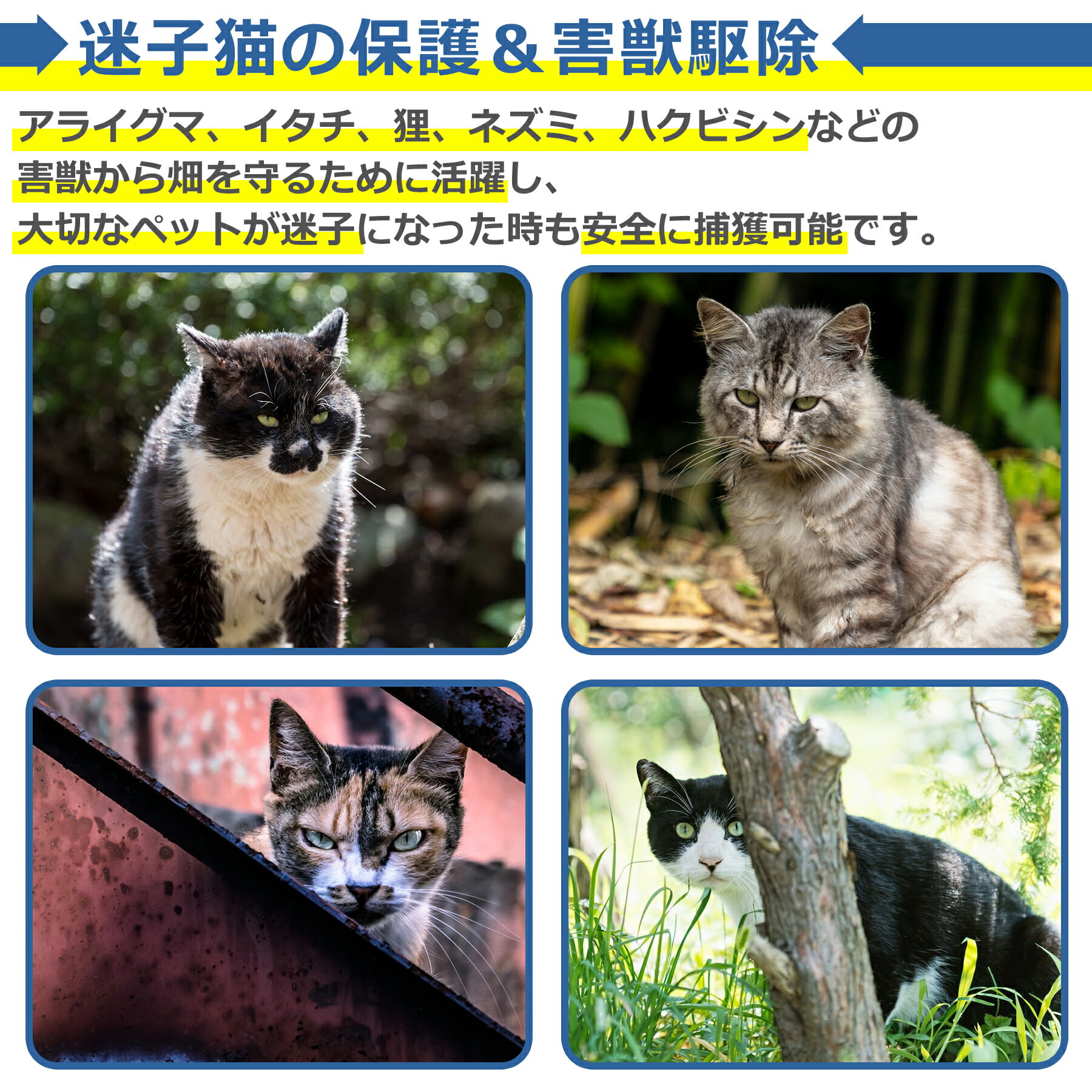 ưʪ ��ʹ� 60cm��20cm��20cm Ƨ�ļ� �Хͼ� ��ñ��Ω �ȥ�å� ���� ����å��㡼 �ݸ� ��� Ȫ �� �����ڱ� �»� ǭ �� ��ưʪ ���� ���� ����