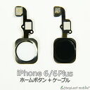 iPhone 6 6Plus z[{^ C  i ݊ p[c yA ACtH
