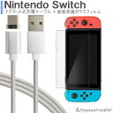 ニンテンドー スイッチ ガラス フィルム Nintendo ...