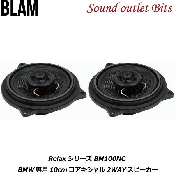 ブラム BLAM RELAX System 100RC 10cmコアキシャル