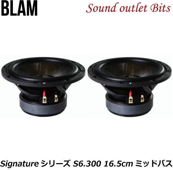 【BLAM】ブラムS6.300 Signatureシリーズ16.5cmウーファー
