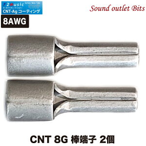 ネコポス可●F2MusicCNT 8Gカーボンナノチューブ・シルバーコーティング8AWG CNT-Ag 棒端子
