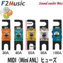 楽天サウンドアウトレット　Bits■■ネコポス可●F2Music/FS-R1gMIDIプレミアムロジウムコーティングMIDIヒューズ（Mini ANL）