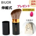 【再入荷/レビューキャンペーン実施中】 BIUOR メイクブラシ 伸縮式ブラシ 高級ナイロン繊維使用 フェイスブラシ・チークブラシ・パウダーブラシ ミニサイズ 超柔らか 持ち運び便利 コンパクト 巾着袋付き 旅行や外出にも便利