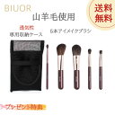 BIUOR 5本 アイシャドウブラシ 山羊毛 メイクブラシ セット携帯用 ミニブラシ 化粧 毛量たっぷり 超柔らかい 専用ポーチ付 収納 ケース プレゼント