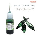 レジン道 アステリアカラー(液状レジン着色剤) ◆ウインターリーフ | レジンアクセサリー レジン着色料 液体カラー UVレジン エポキシレジン ハンドメイド 手芸