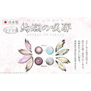 レジン道 高輝度ミラークローム 「絢爛の咲耶」(けんらんのさくや)// レジン着色料 UVレジン エポキシレジン ハンドメイド 手芸