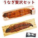 贅沢セットうなぎ焼1尾 + 鰻山椒しぐれ煮1尾