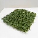 フェイクグリーン 人工芝 モスガーデンマット (3枚) (ダークグリーン) (造花 苔 おすすめ お洒落 草 芝生 屋外使用OK グリーン DIY ベランダ 庭...