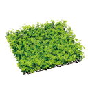 フェイクグリーン 人工芝 ラージグラスマット 50cm×50cm (1枚)(造花 おすすめ お洒落 草 芝生 屋外使用OK グリーン DIY ベランダ 庭 壁面...