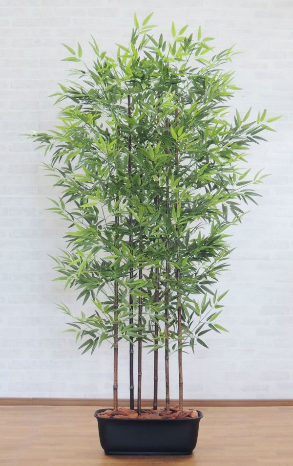 楽天市場】観葉植物 竹(人工観葉植物|造花・人工観葉植物 楽天市場】観葉植物 竹(人工観葉植物|造花・人工観葉植物