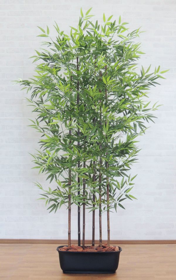 楽天造花観葉植物専門店ビワールデコ黒竹 パーテーション 180cm （フェイクグリーン 衝立 人工竹 造花 樹木 人工観葉植物 1.8m バンブー インテリア 目隠し おしゃれ 室内 クロタケ オフィス シンボルツリー 自作 植栽 業者 メーカー ベストグリーン オリジナル 製造元）