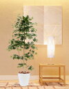 緑のイロハモミジ 180cm (人工 観葉植物 造花 フェイクグリーン もみじ 紅葉 1.8m インテリア おしゃれ 室内 大型 カエデ オフィス 店舗 鉢植え...