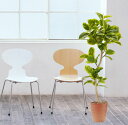 フィカス アルテシマ 150cm (造花 アルテシーマ フィカス ゴム インテリア 人工 観葉植物 フェイク お洒落 シンプル 室内 大型 ディスプレイ オフィ...